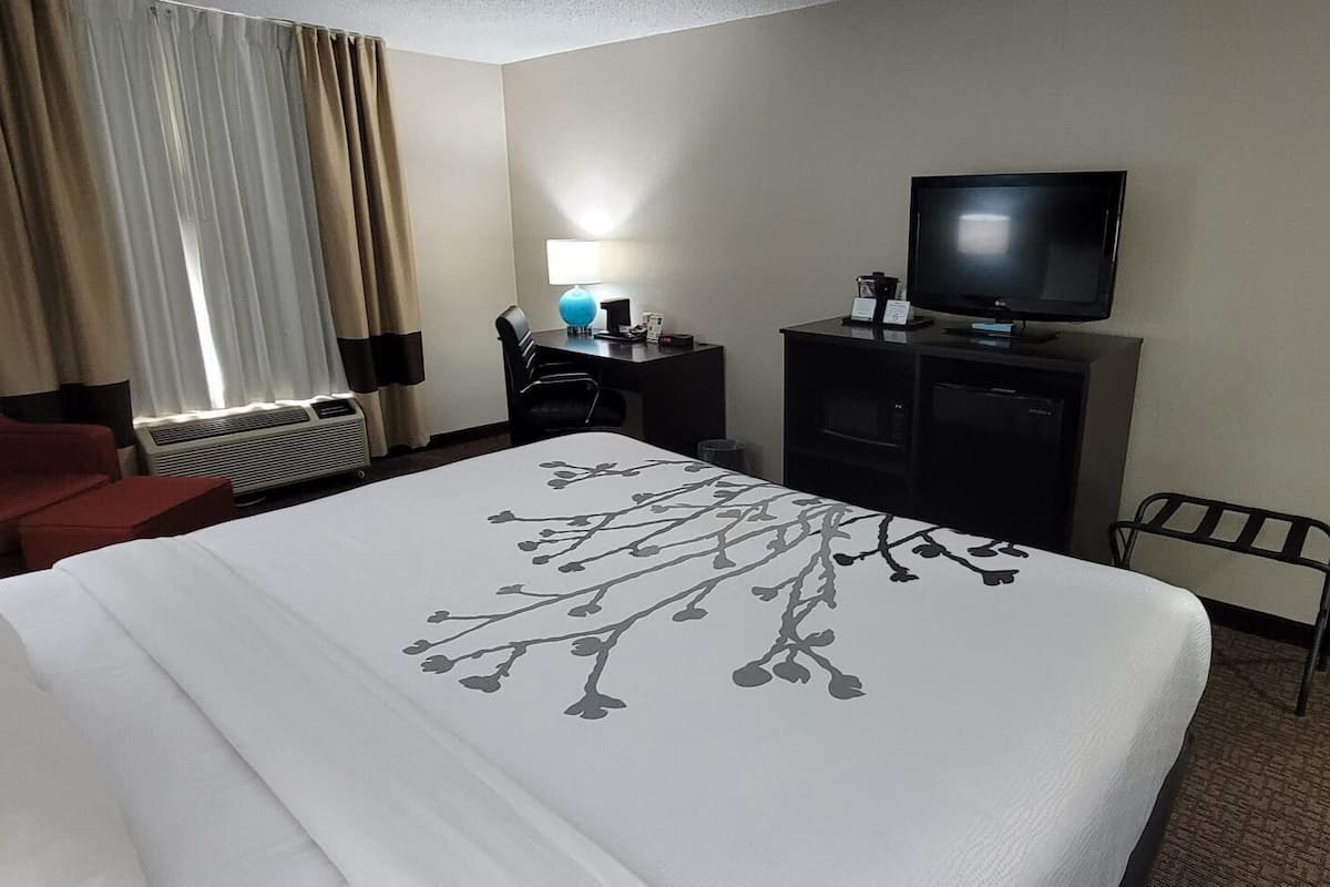 A hotel room with a bed, a desk, a chair, a television, and a window with curtains.