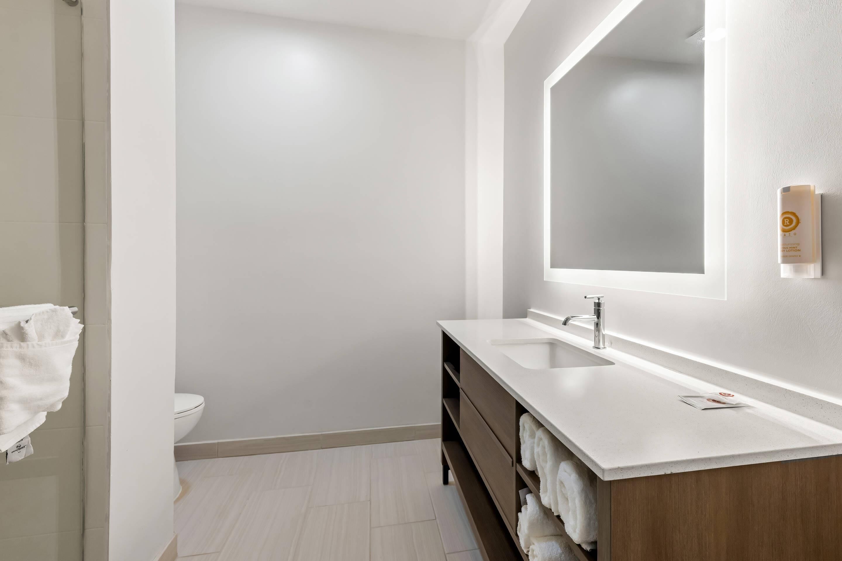 A modern bathroom with a white sink, a large mirror, and a towel rack.