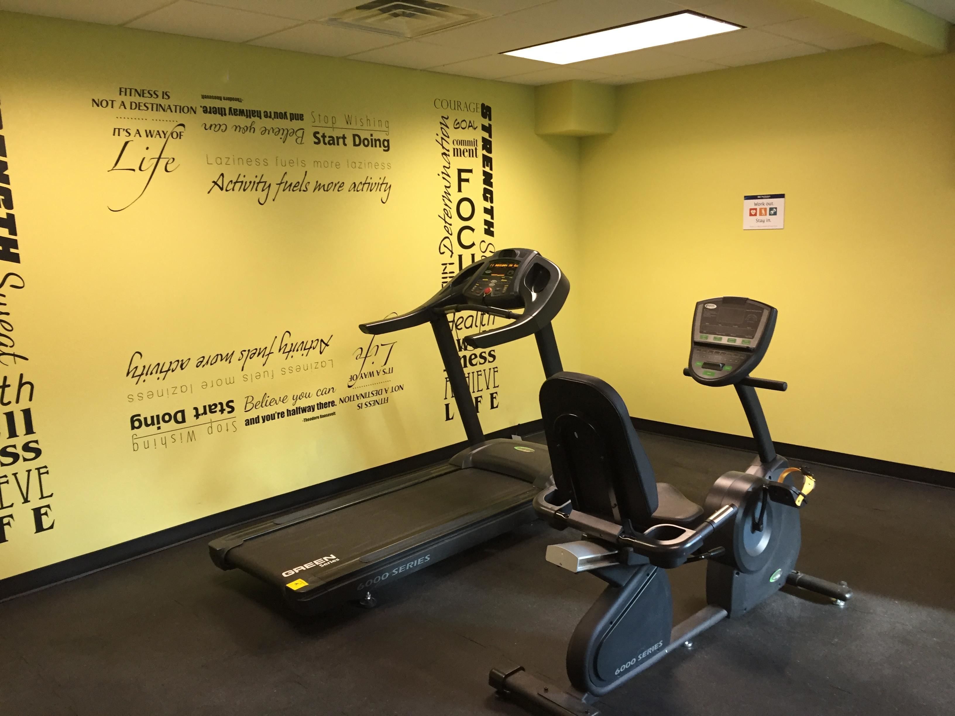 A gym with a treadmill and an elliptical machine.