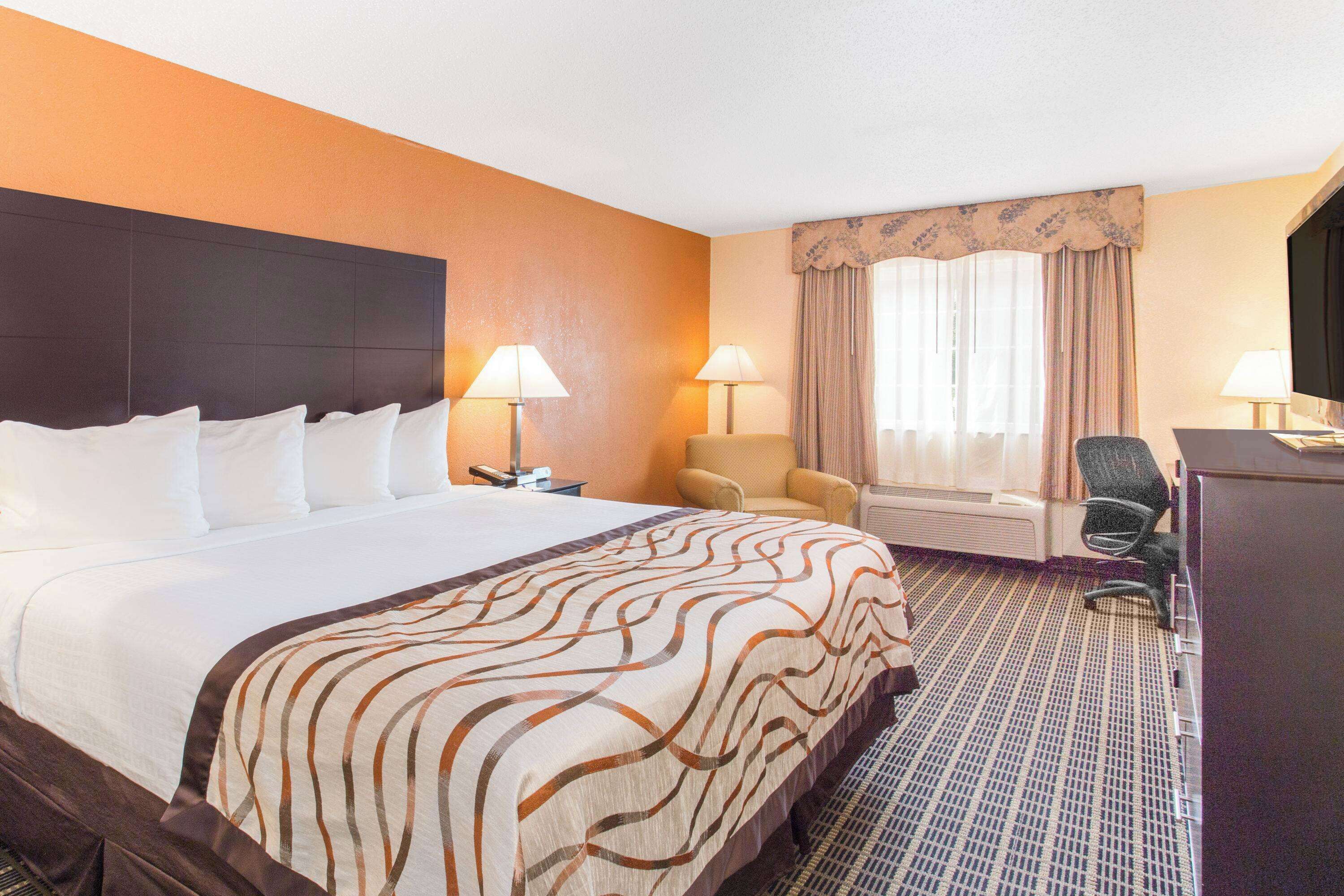 A hotel room with a large bed, two bedside tables, a desk, a chair, and a television.