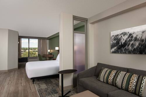 Room, 1 King Bed, Accessible, Bathtub