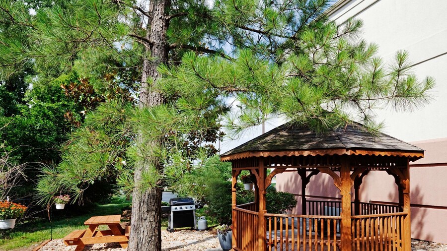 Sonesta Simply Suites Knoxville