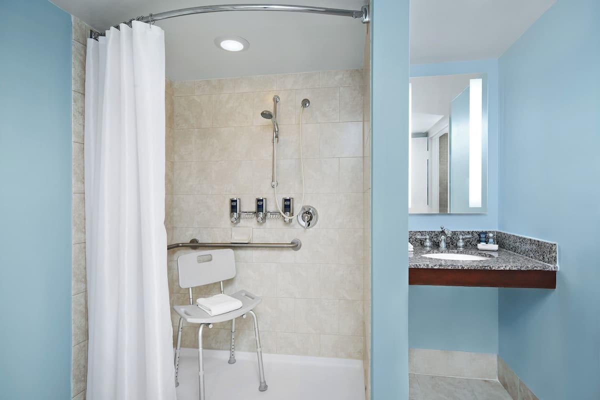 combined shower/bathtub, free toiletries, hair dryer, towels