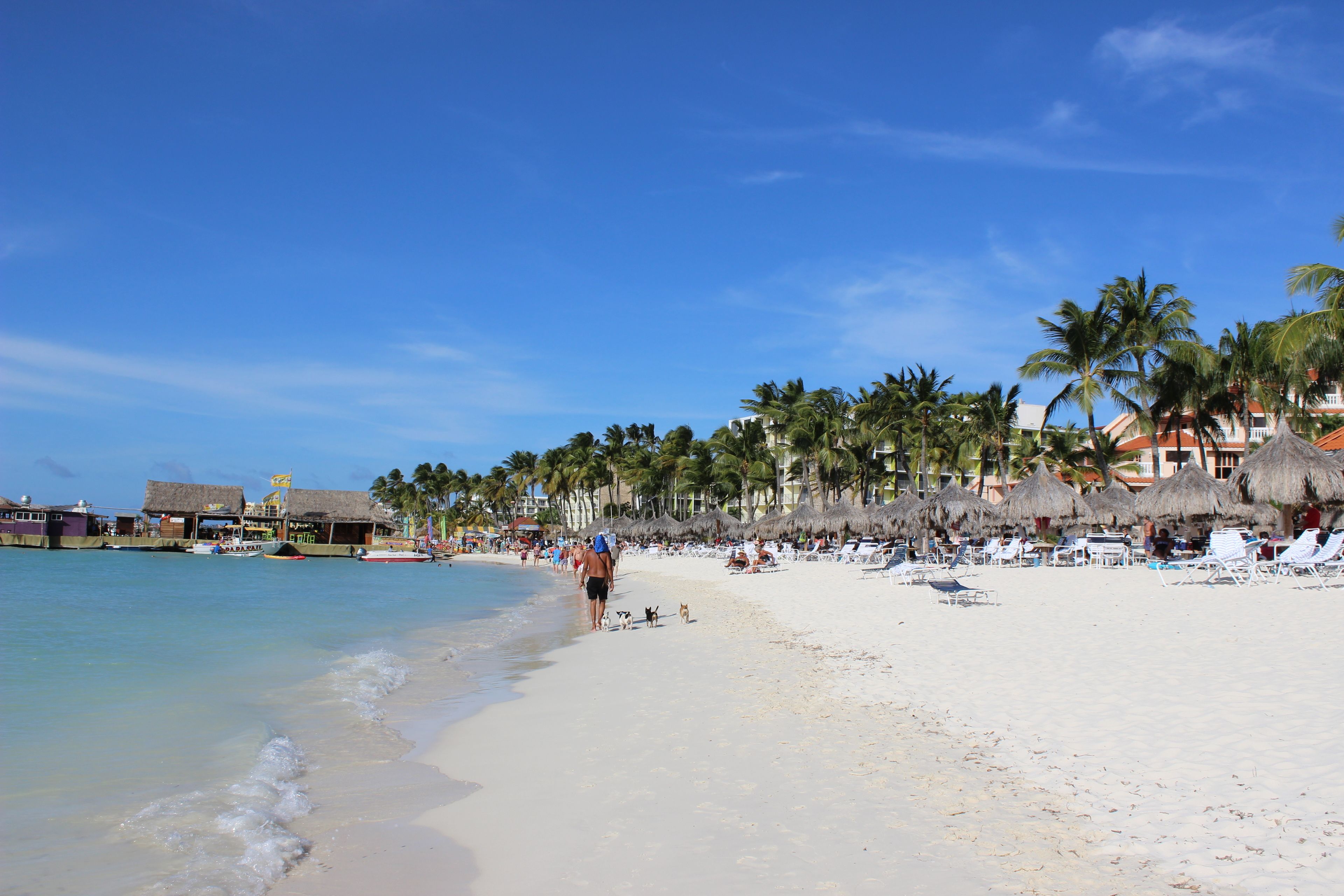 靠近海滩、白沙、小屋（收费）、沙滩椅