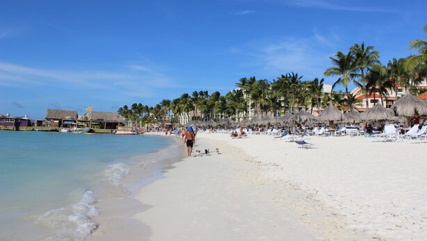 Une plage avec une eau d’un bleu limpide, des palmiers et des chaises de plage.