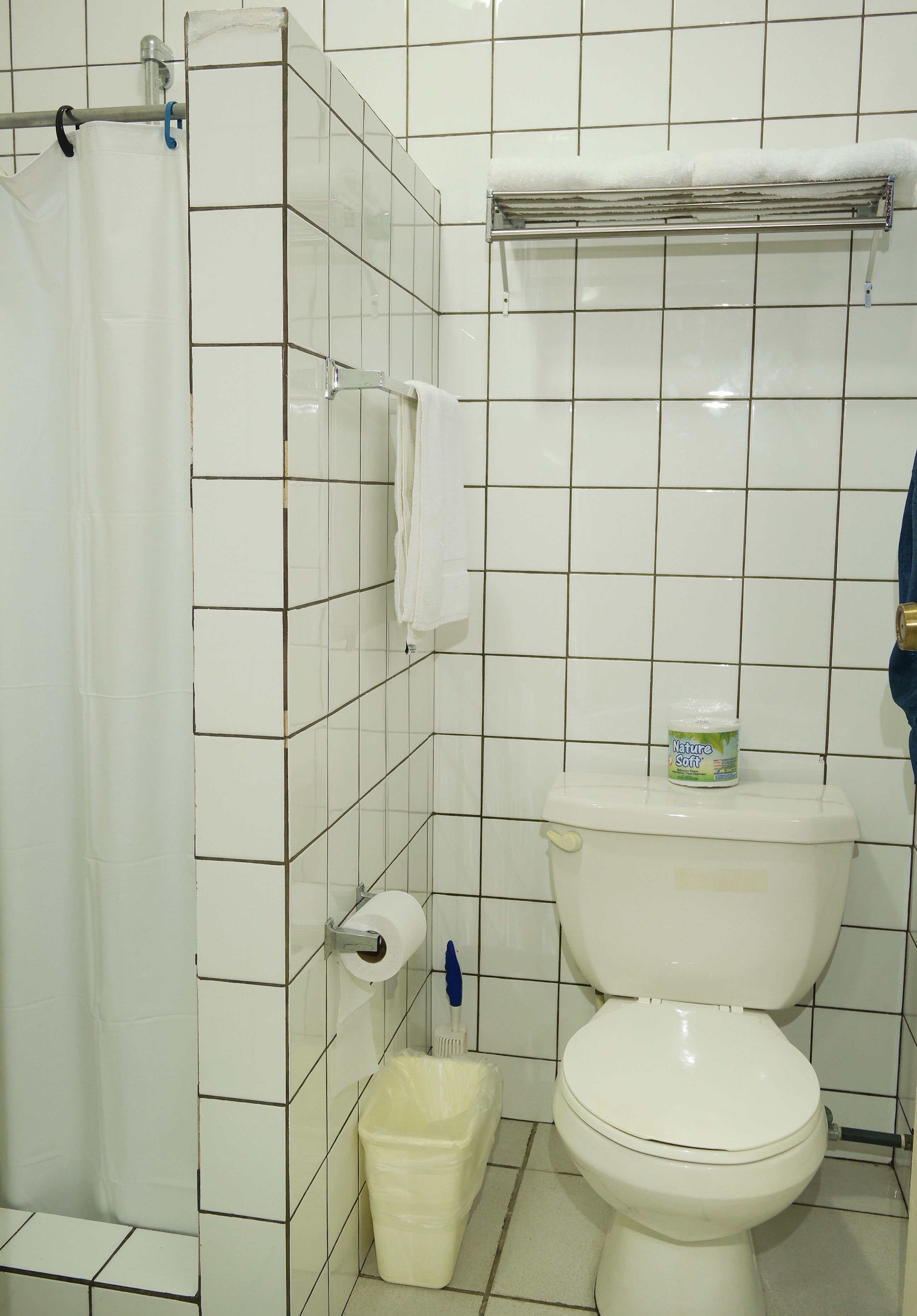 Ein Badezimmer mit Toilette, einer Duschvorhang, einem Handtuchhalter, einem Mülleimer und einer Flasche Flüssigseife.