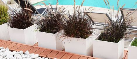 A poolside area with white planters containing tall grasses, a wooden deck, and a pool in the background.