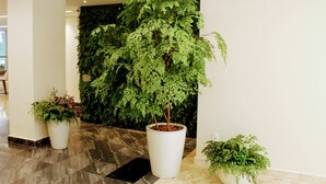 Un hall d’entrée agrémenté d’une grande plante d’intérieur, d’un mur végétal et d’un sol en marbre.