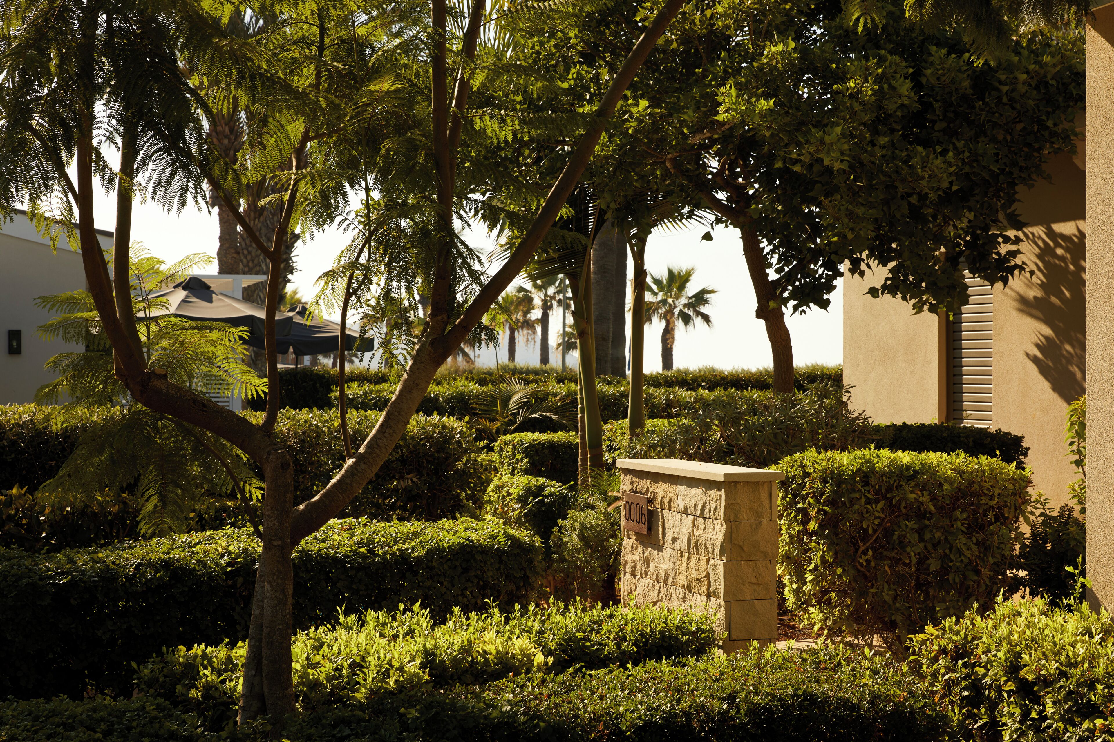 A landscaped garden with a stone wall, trimmed hedges, and palm trees.