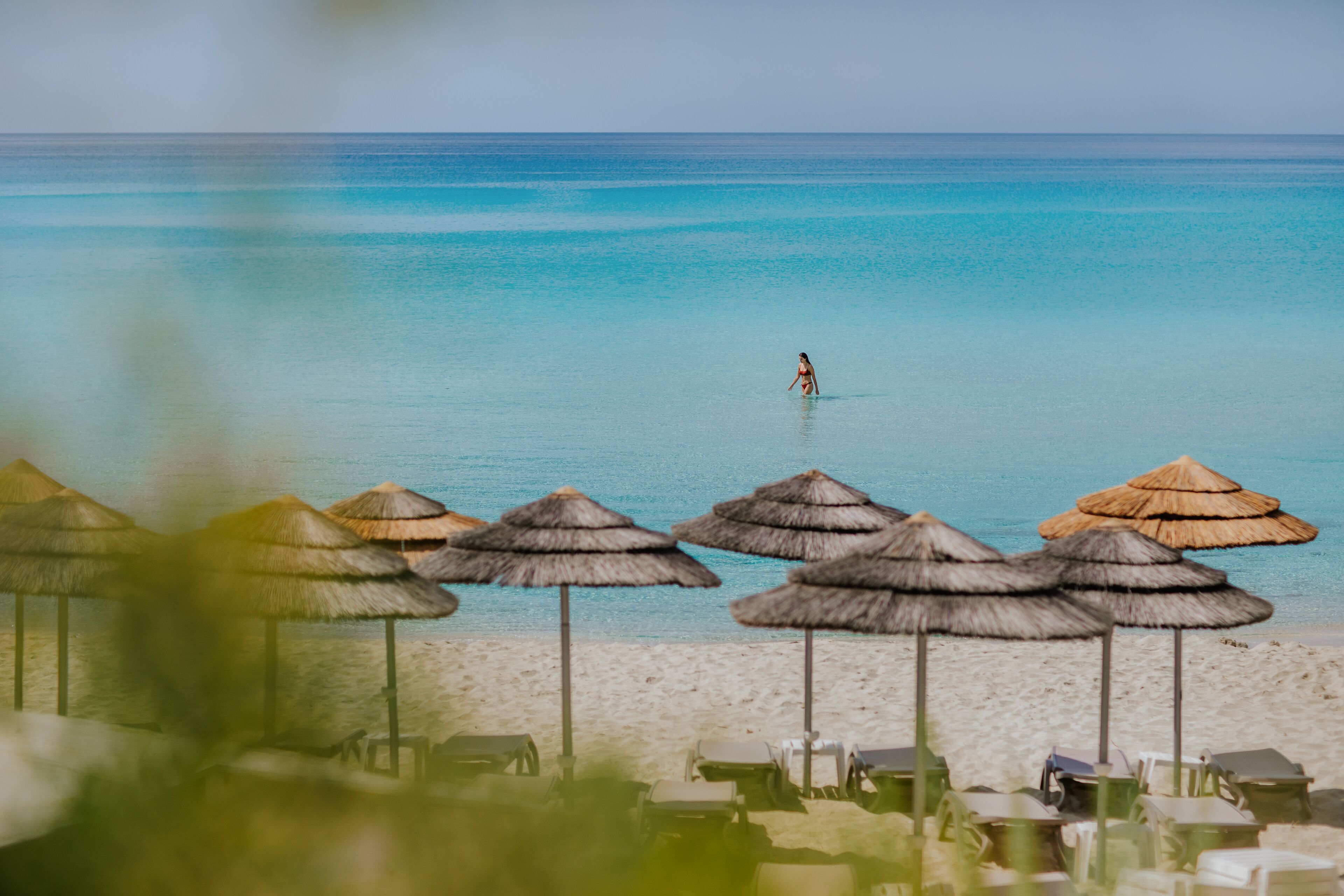 Una playa con sombrillas de paja y tumbonas.