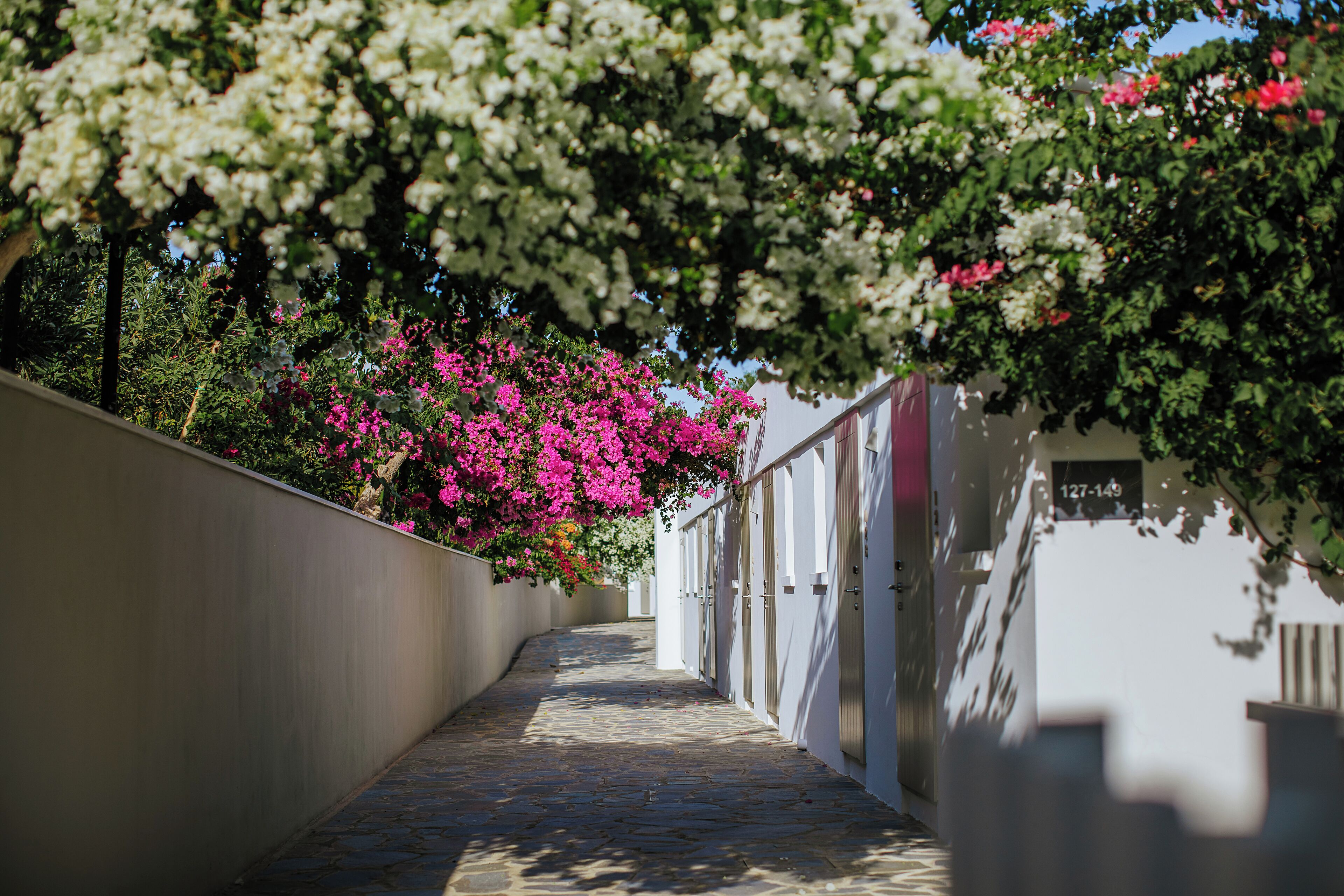 Phòng Tiêu chuẩn, quang cảnh vườn | Minibar, két bảo mật tại phòng, màn/rèm cản sáng 