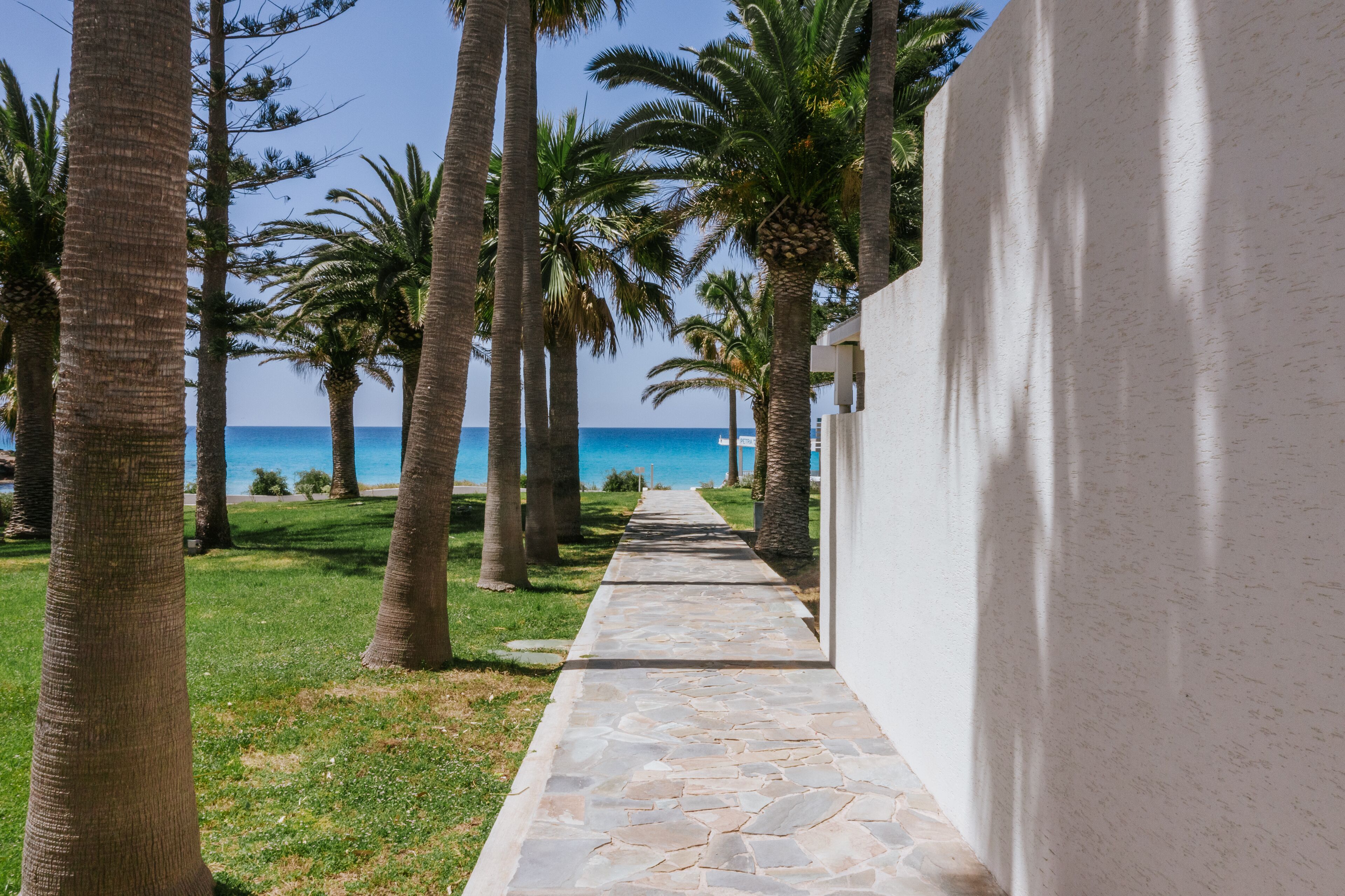 A pathway lined with palm trees leading to a building with a view of the ocean.