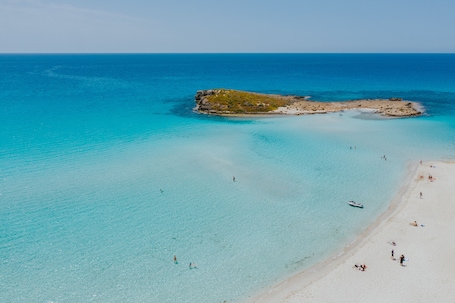 On the beach, sun loungers, beach umbrellas, beach towels. Nissi Beach Resort