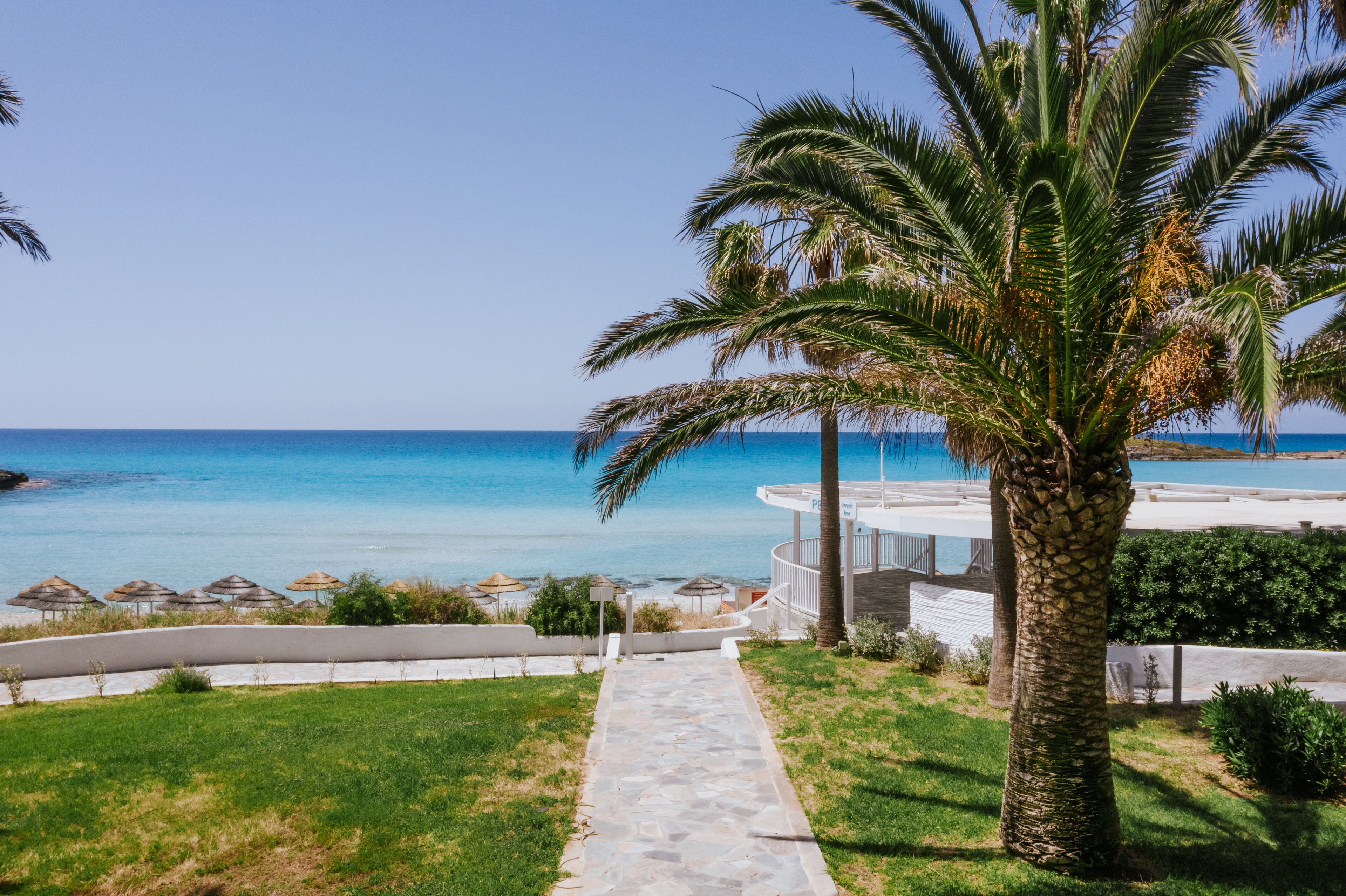 Camí cap a una platja, amb una palmera i para-sols.