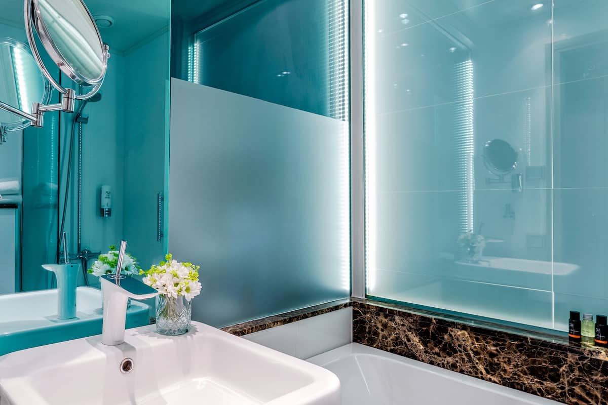 shower, free toiletries, hair dryer, towels