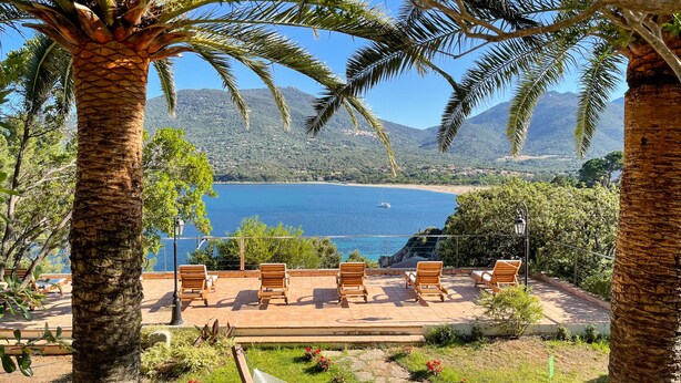 Terraza con bancos de madera con vistas a la costa, palmeras y un paisaje montañoso.
