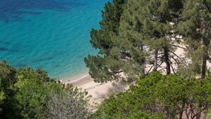 Un paisaje costero con una playa arenosa, densos pinos y mar azul cristalino.