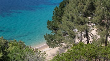 Playa de arena blanca, traslado desde/hacia la playa gratis y camastros