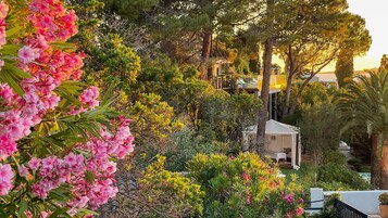 Um jardim com flores cor-de-rosa, um gazebo e um caminho bordeado por árvores.