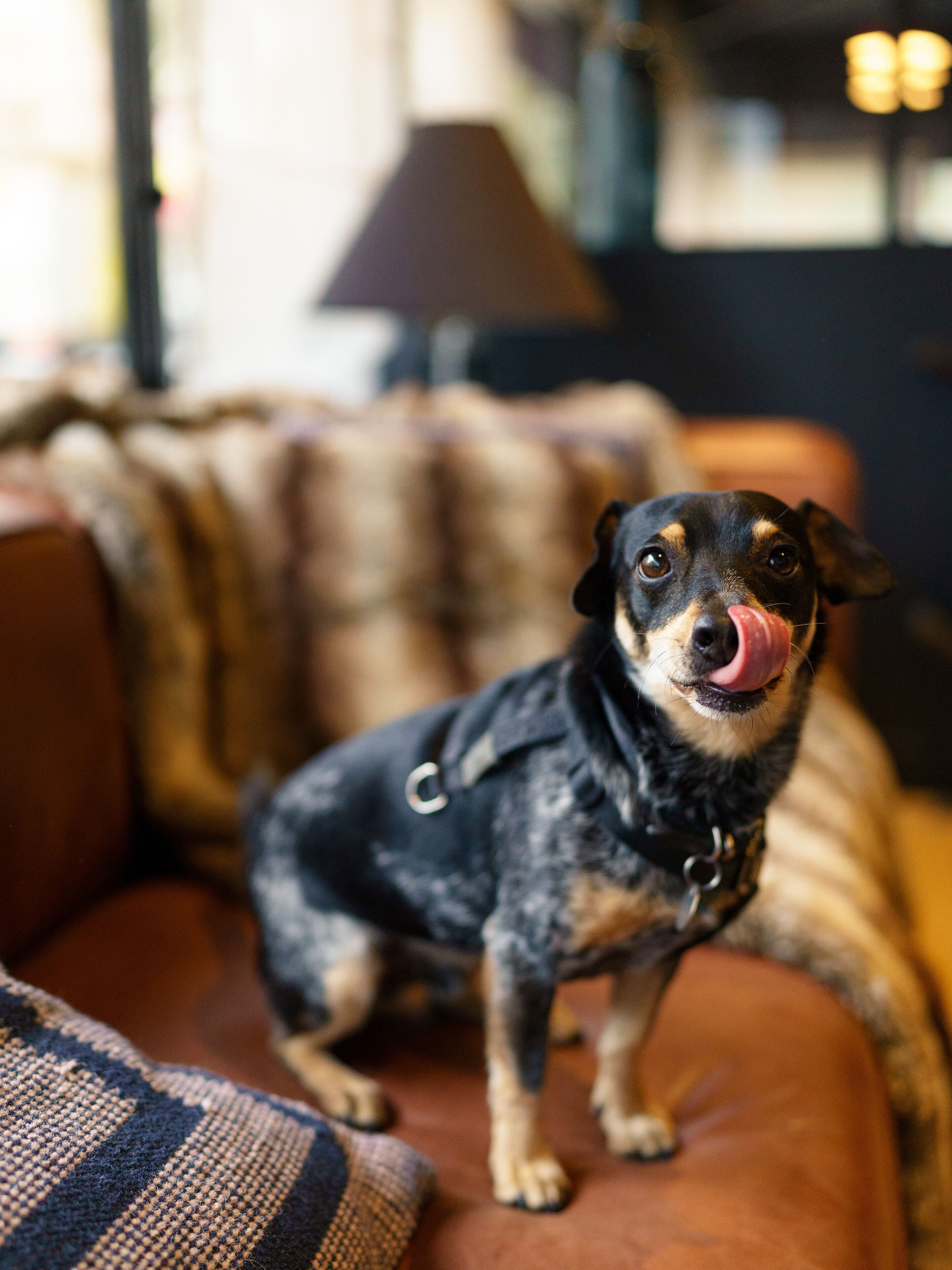 Photo - Hôtel Clarisse