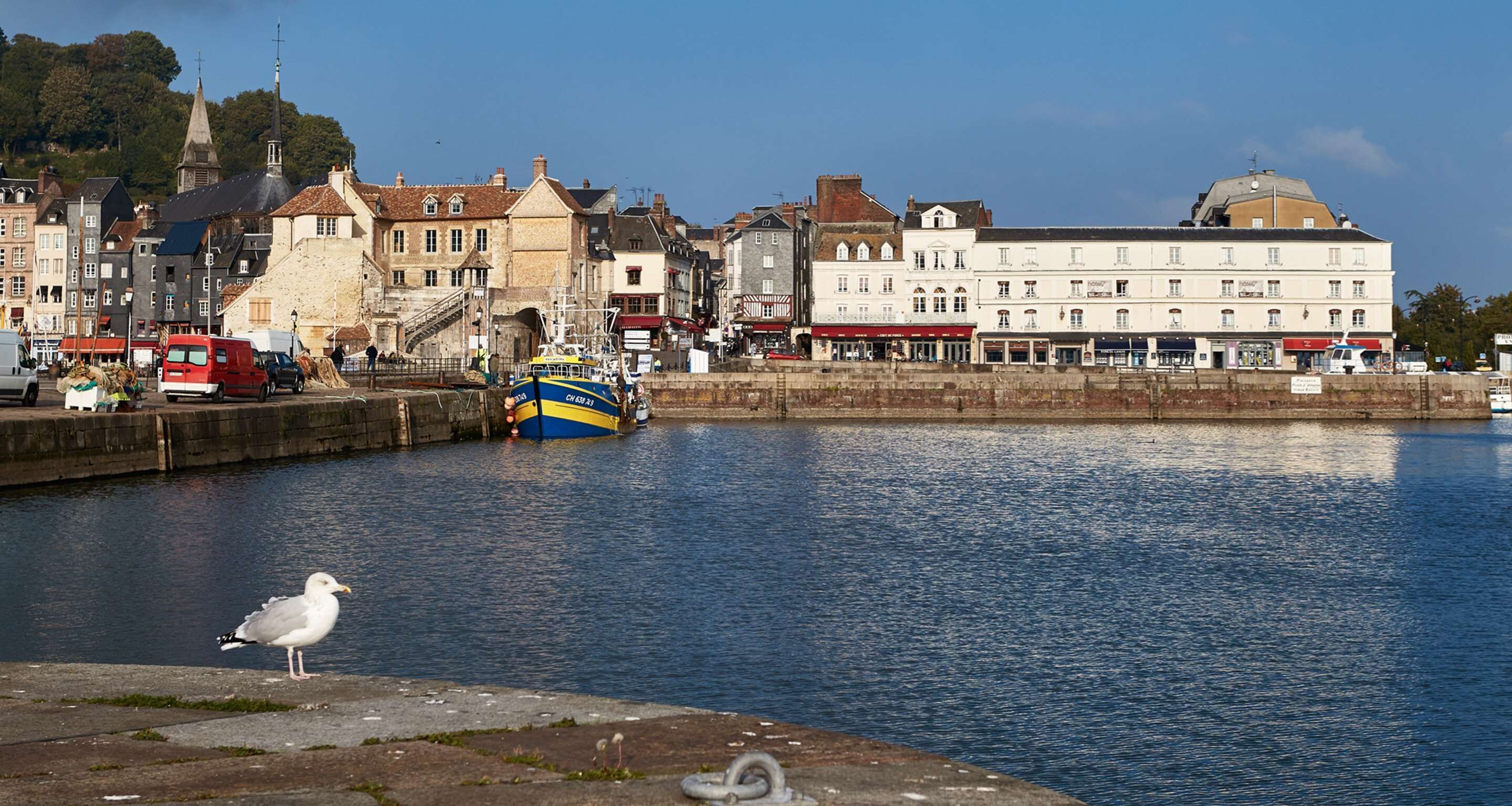 A waterfront scene with a seagull, a boat, and buildings along the shore.