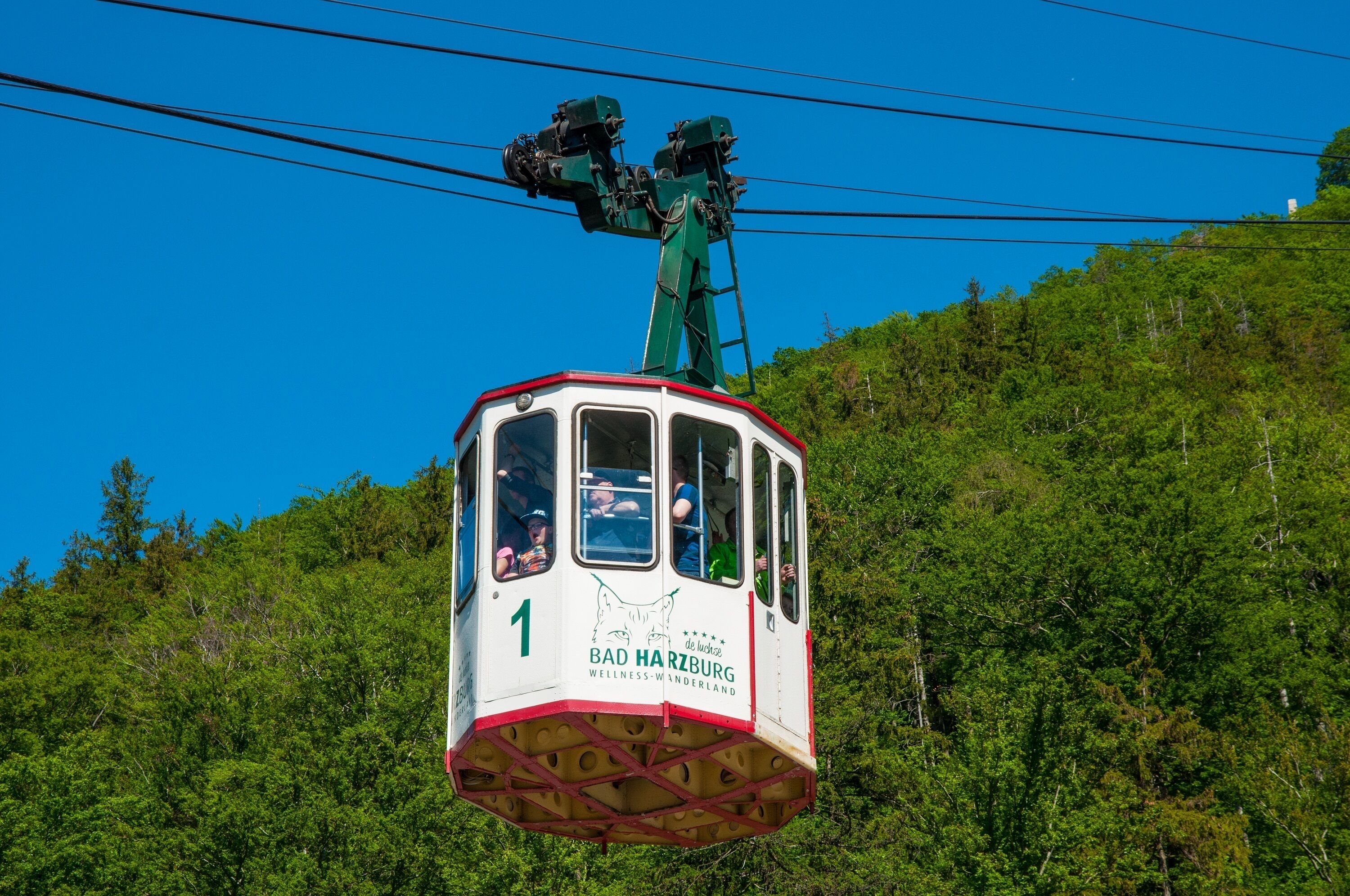 Eine Seilbahn mit Fahrgästen, mit der Aufschrift "Bad Harzburg Wellness-Wunderland", schwebt über einem bewaldeten Hügel.