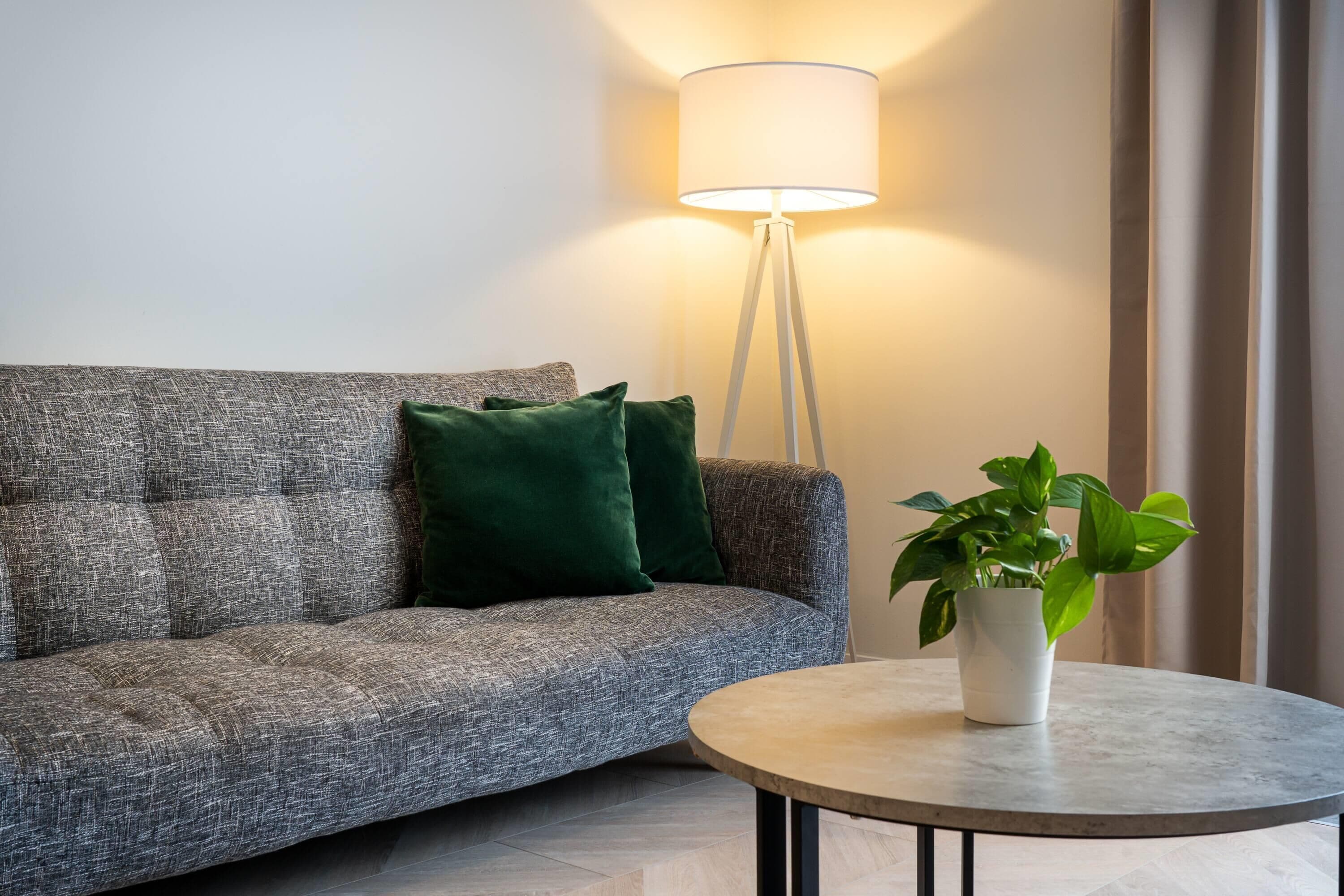 A modern living room with a grey sofa, a green cushion, a floor lamp, and a potted plant on a round table.