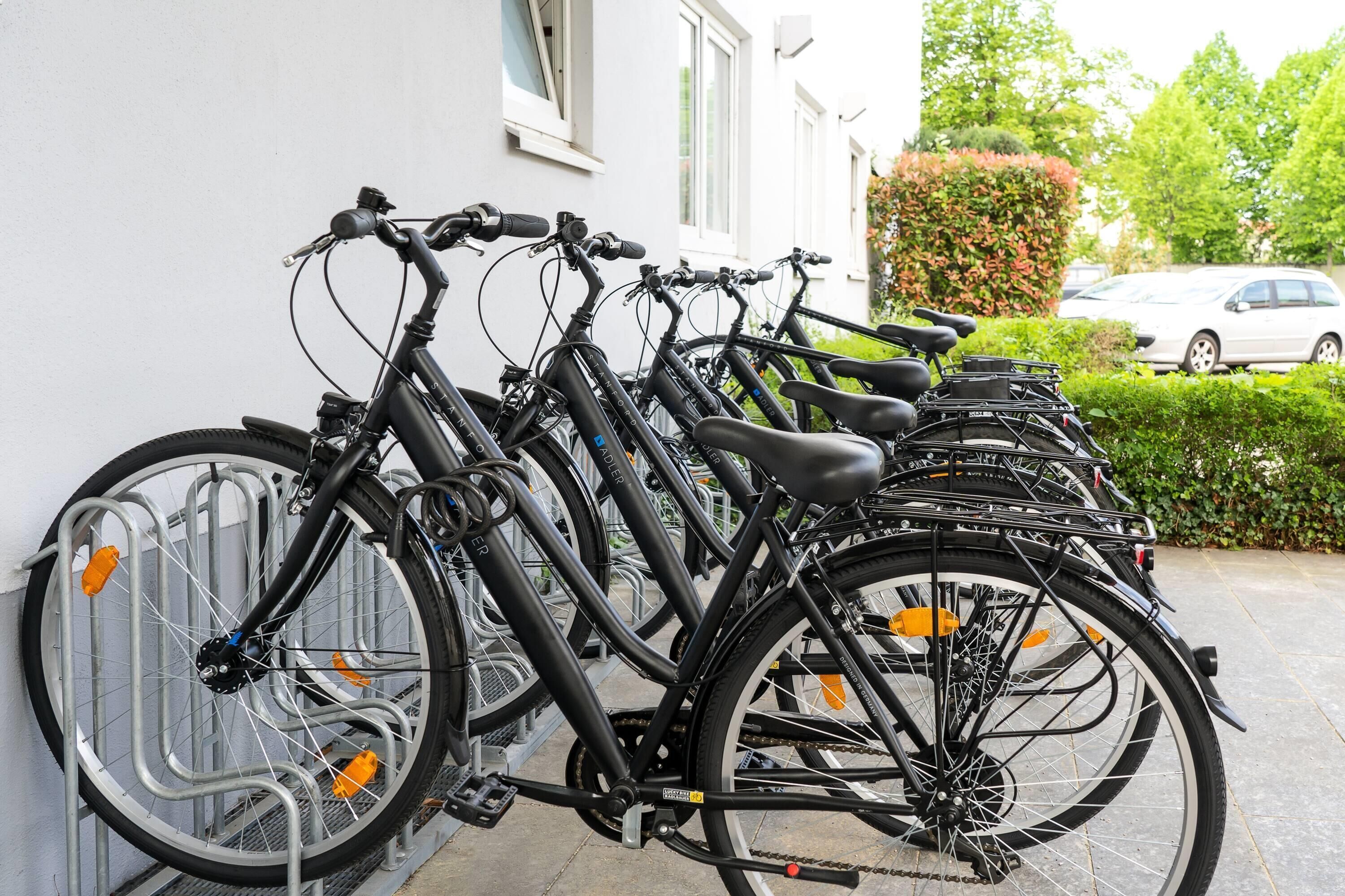 En rad cyklar står parkerade längs en vägg, med en bil och grönska i bakgrunden.