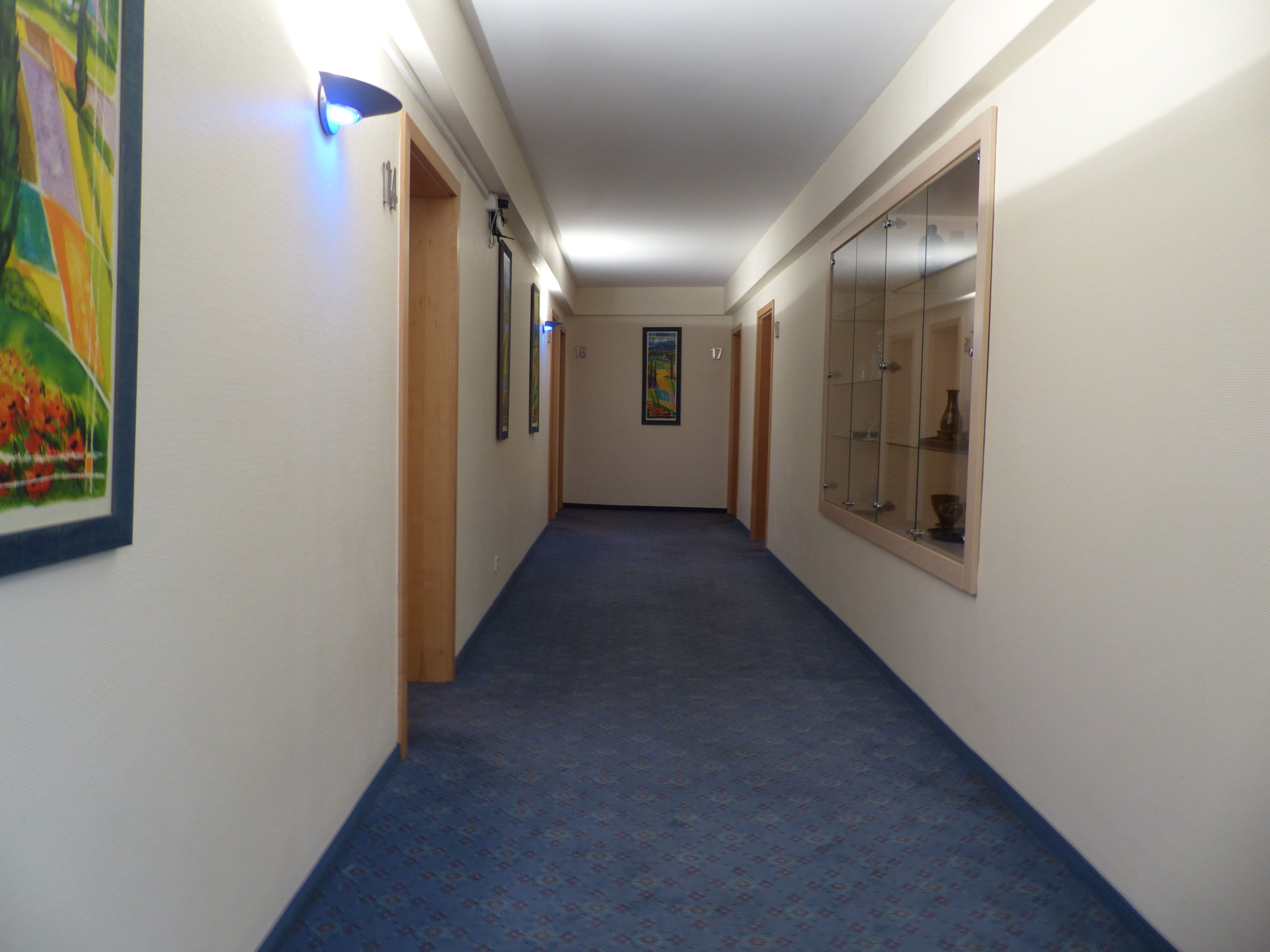 A hallway with a patterned carpet, framed artwork on the walls, and a glass display cabinet.