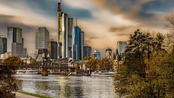 Vista desde la propiedad