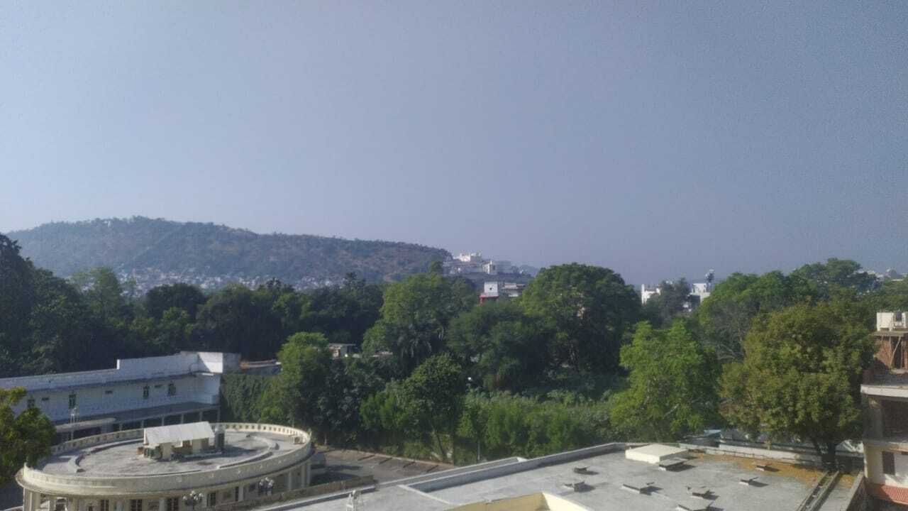 Foto - ECKO Premier Vibrant