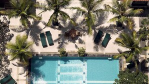Vista aérea de una piscina rodeada de palmeras y sillones de descanso.