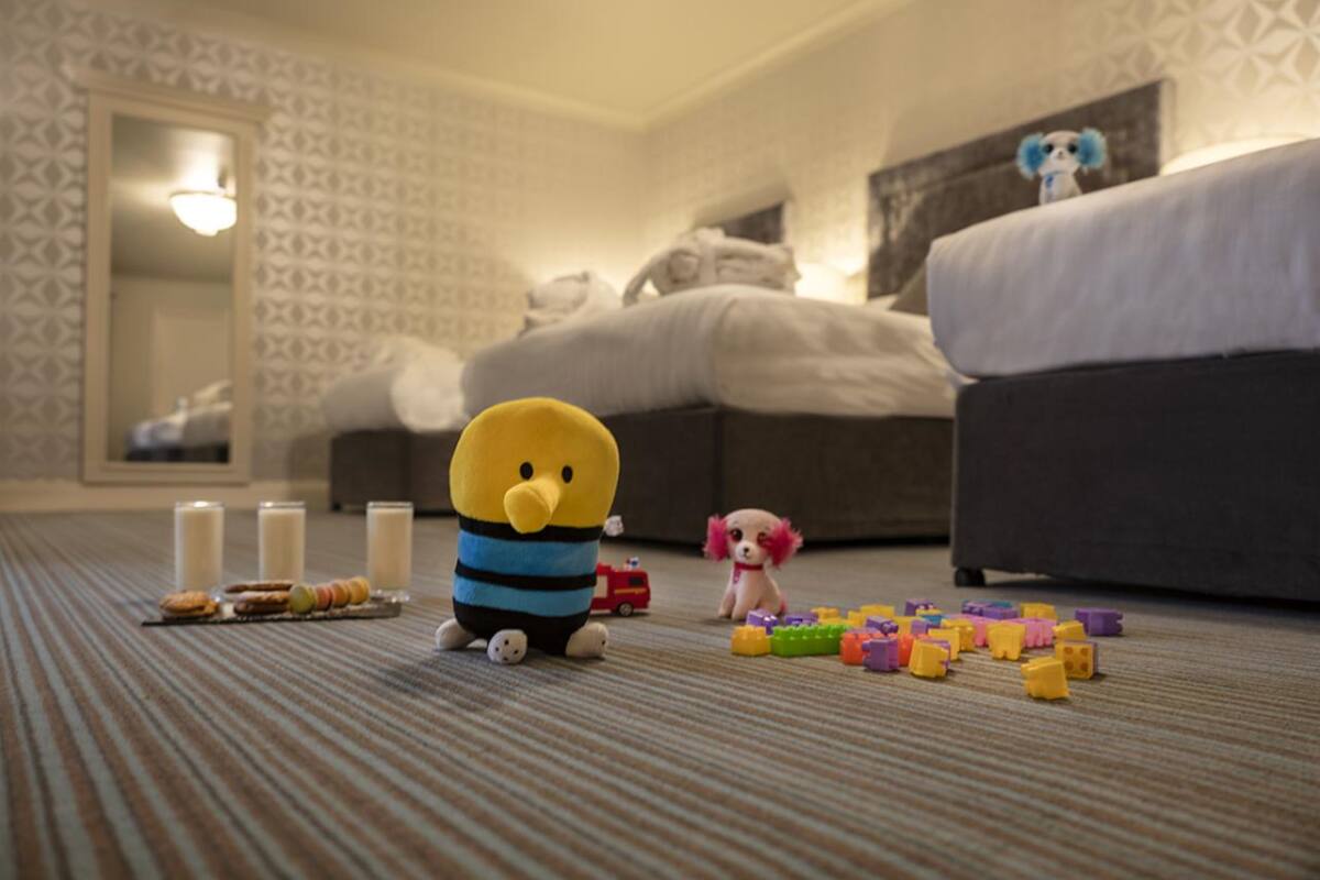 A hotel room with a bed, a sofa, a small table with snacks, and a toy.