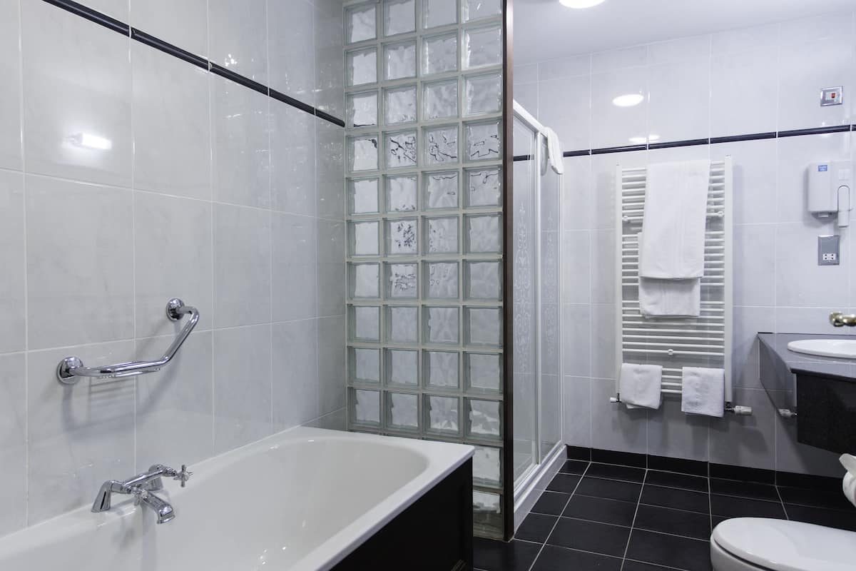 deluxe room, 1 double bed, sea view | bathroom | hair dryer, towels