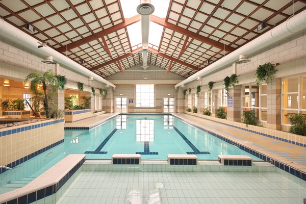 Indoor pool, sun loungers