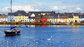 A waterfront with colorful buildings, boats, and seagulls. - Connemara Coast Hotel (Galway)