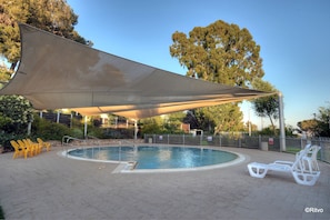 Indoor pool, sun loungers