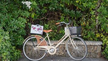 A vintage bicycle with a basket and a bag attached to the back, parked against a wall with greenery.
