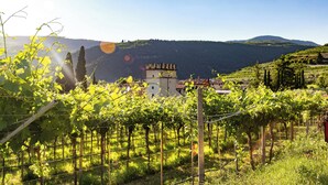 A vineyard with rows of grapevines and a tower in the background. - Kona Hotel Verona  (Negrar)