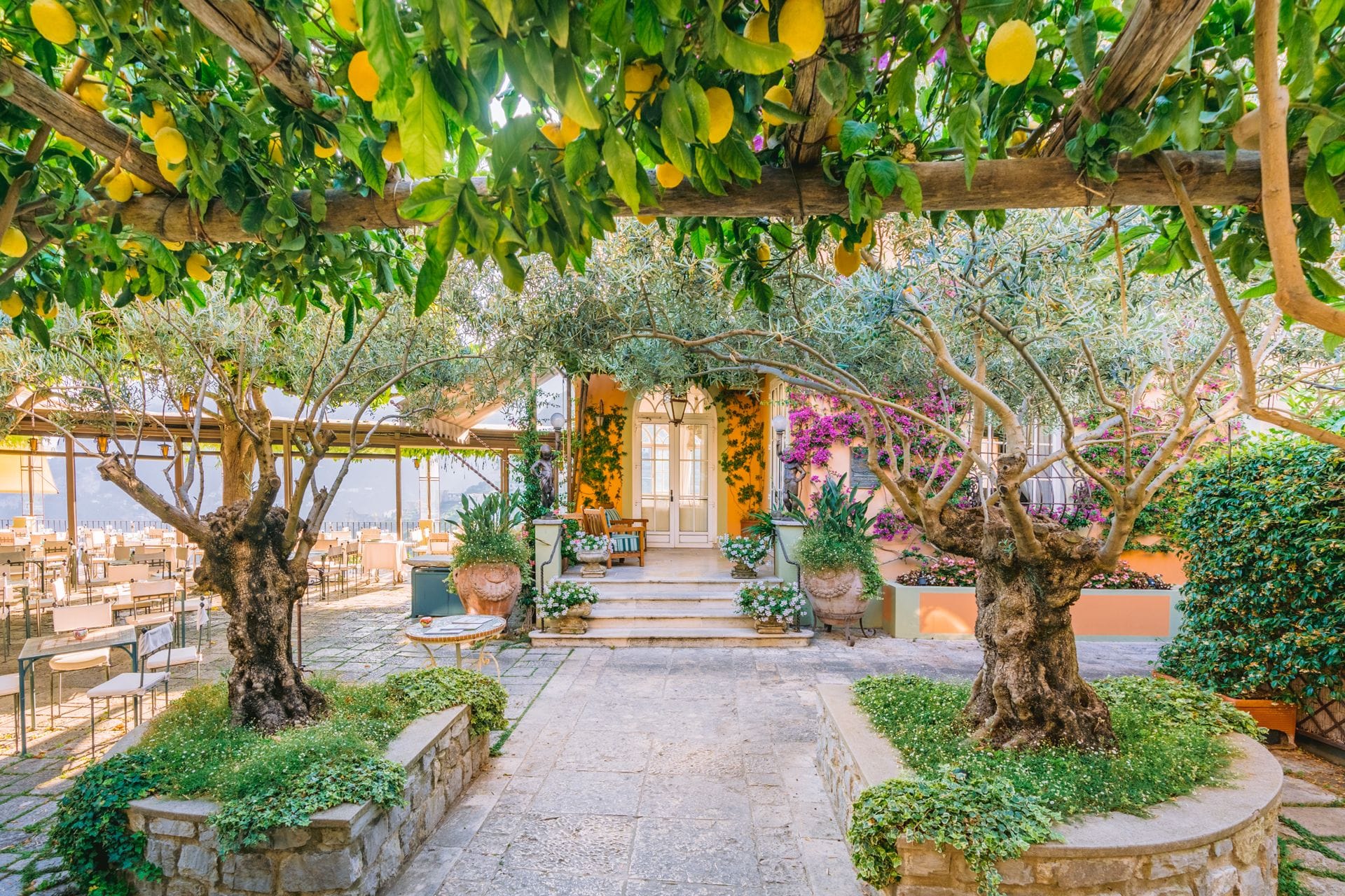 An outdoor seating area with tables and chairs, surrounded by trees and potted plants.