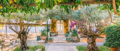 An outdoor seating area with tables and chairs, surrounded by trees and potted plants.