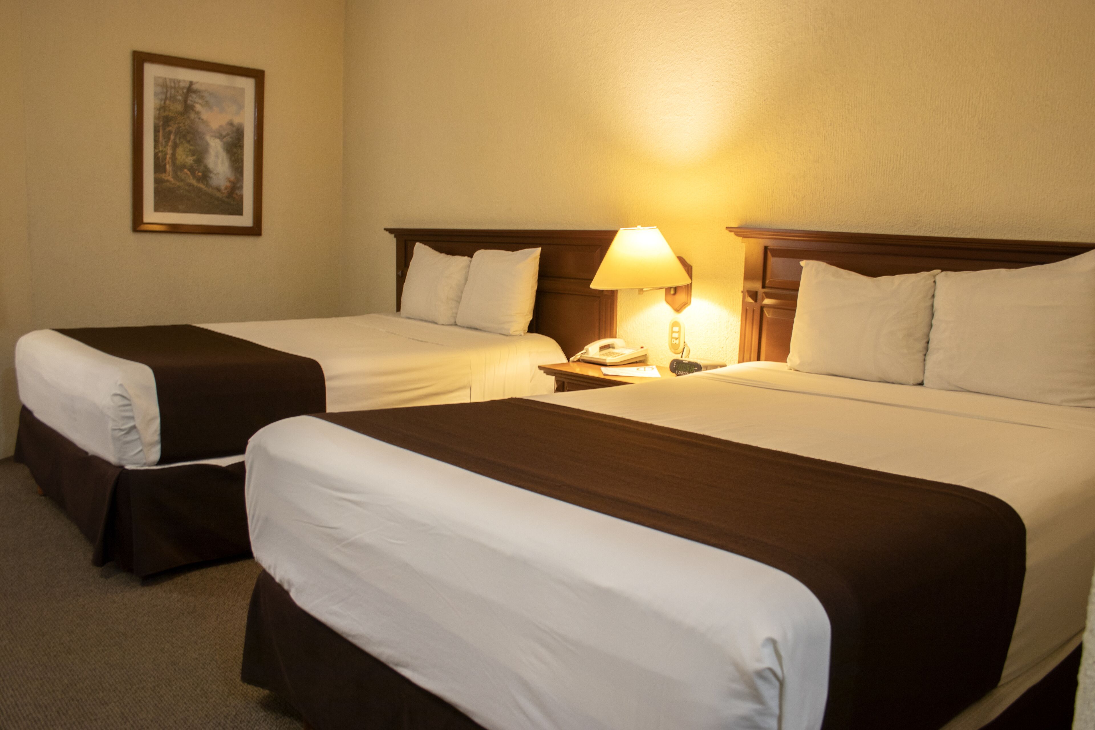 premium bedding, in-room safe, blackout curtains, soundproofing