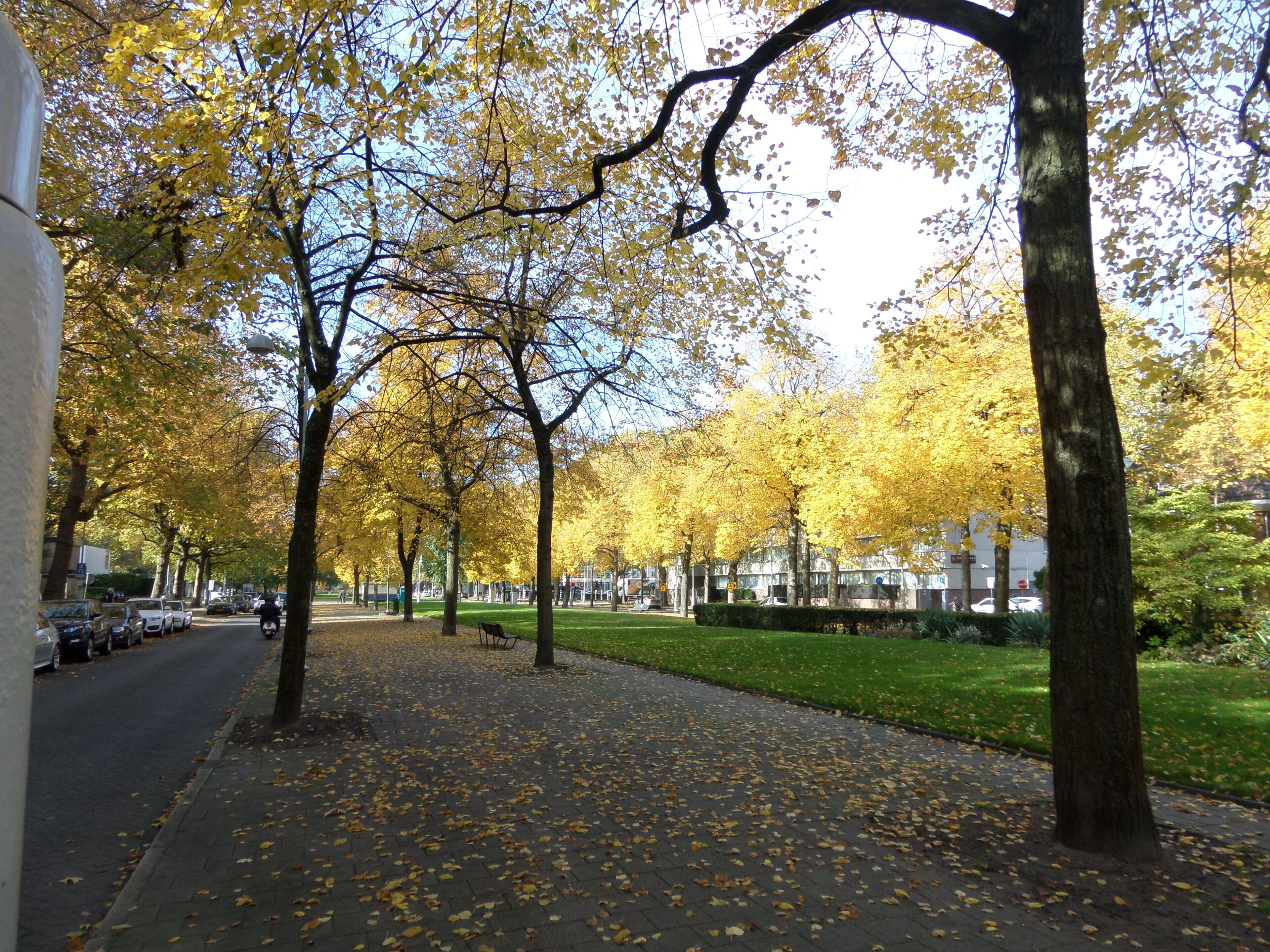 Photo - Apollofirst Boutique Hotel