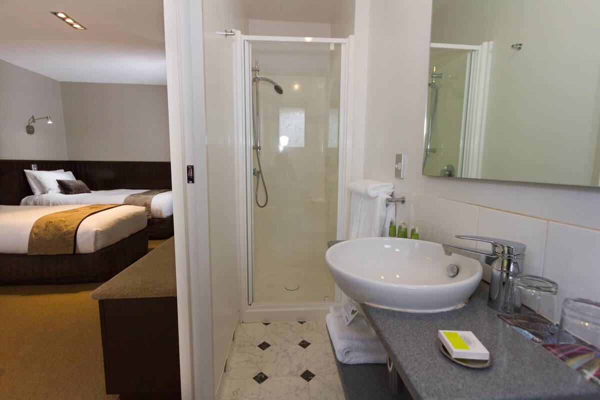 shower, free toiletries, hair dryer, towels