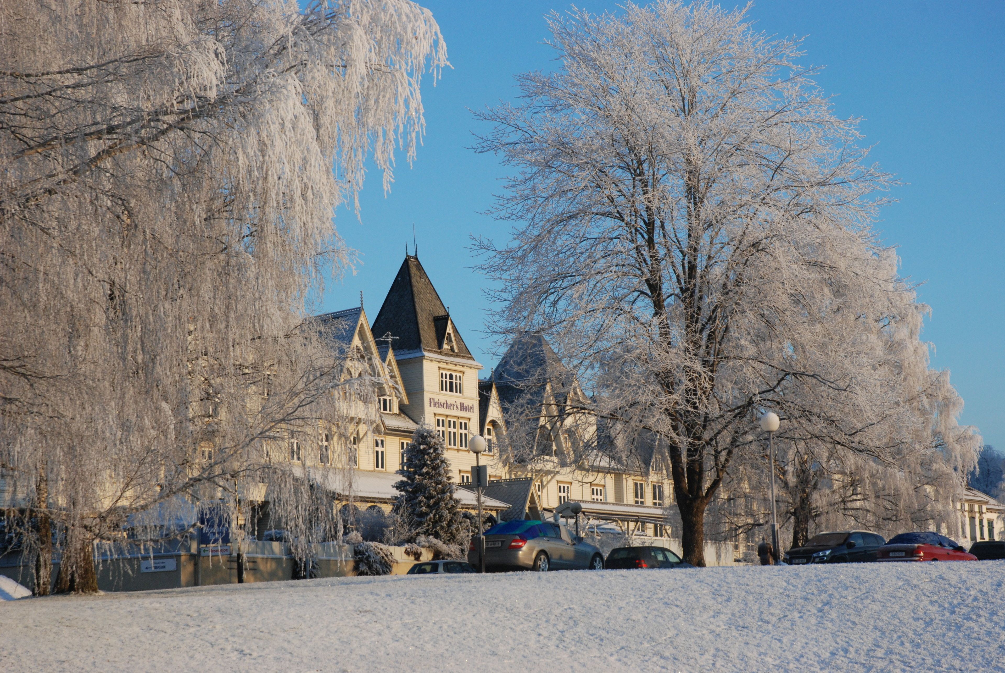 A large, historic building with a prominent tower and multiple windows, surrounded by snow-covered trees and parked cars.