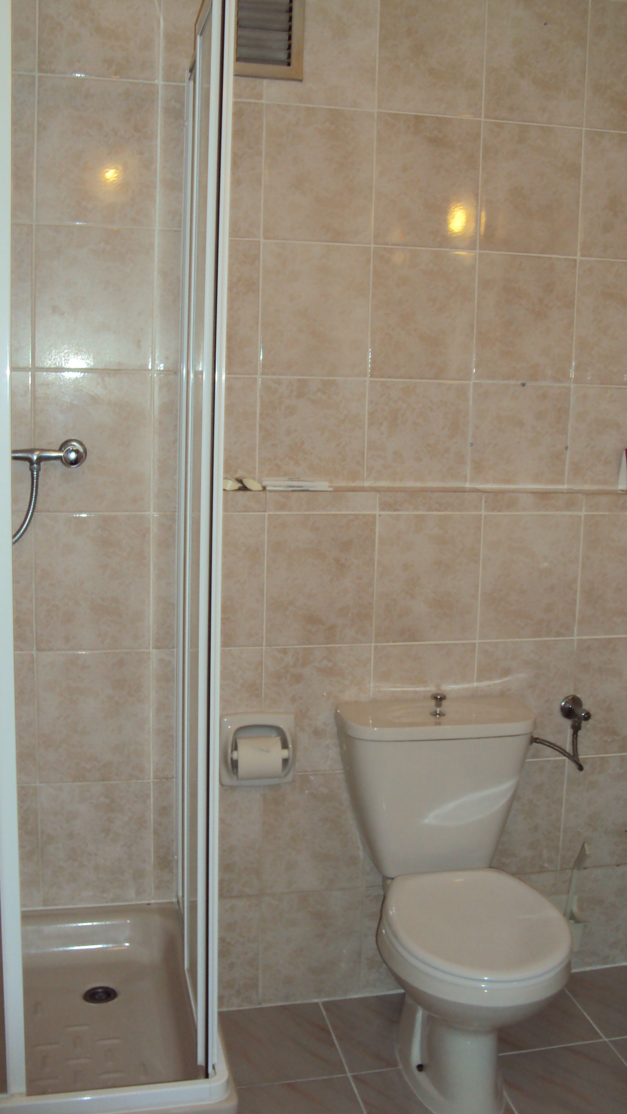 Casa de banho com chuveiro, sanita e suporte para papel higiénico.