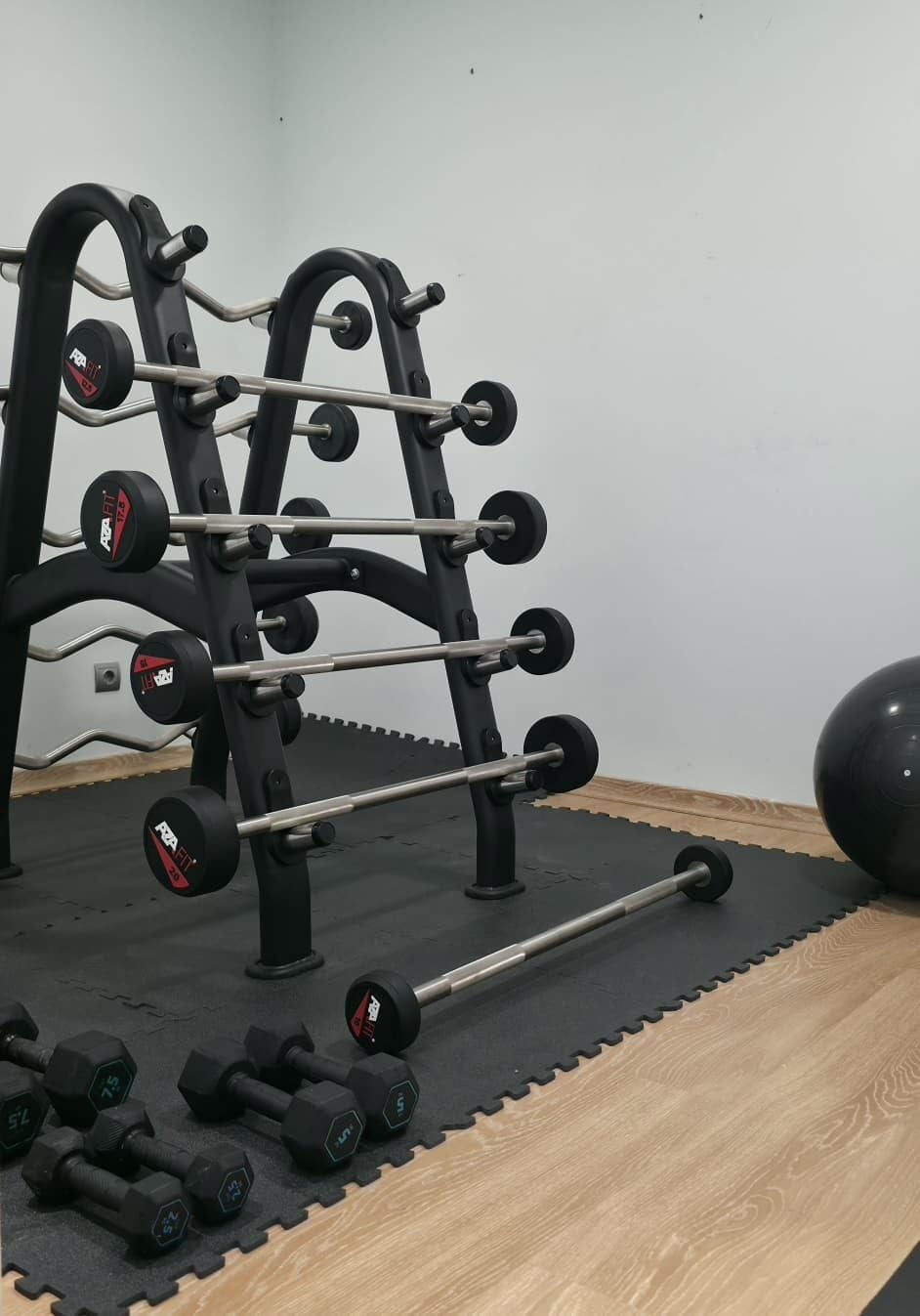 A gym with a squat rack, barbell, and dumbbells.
