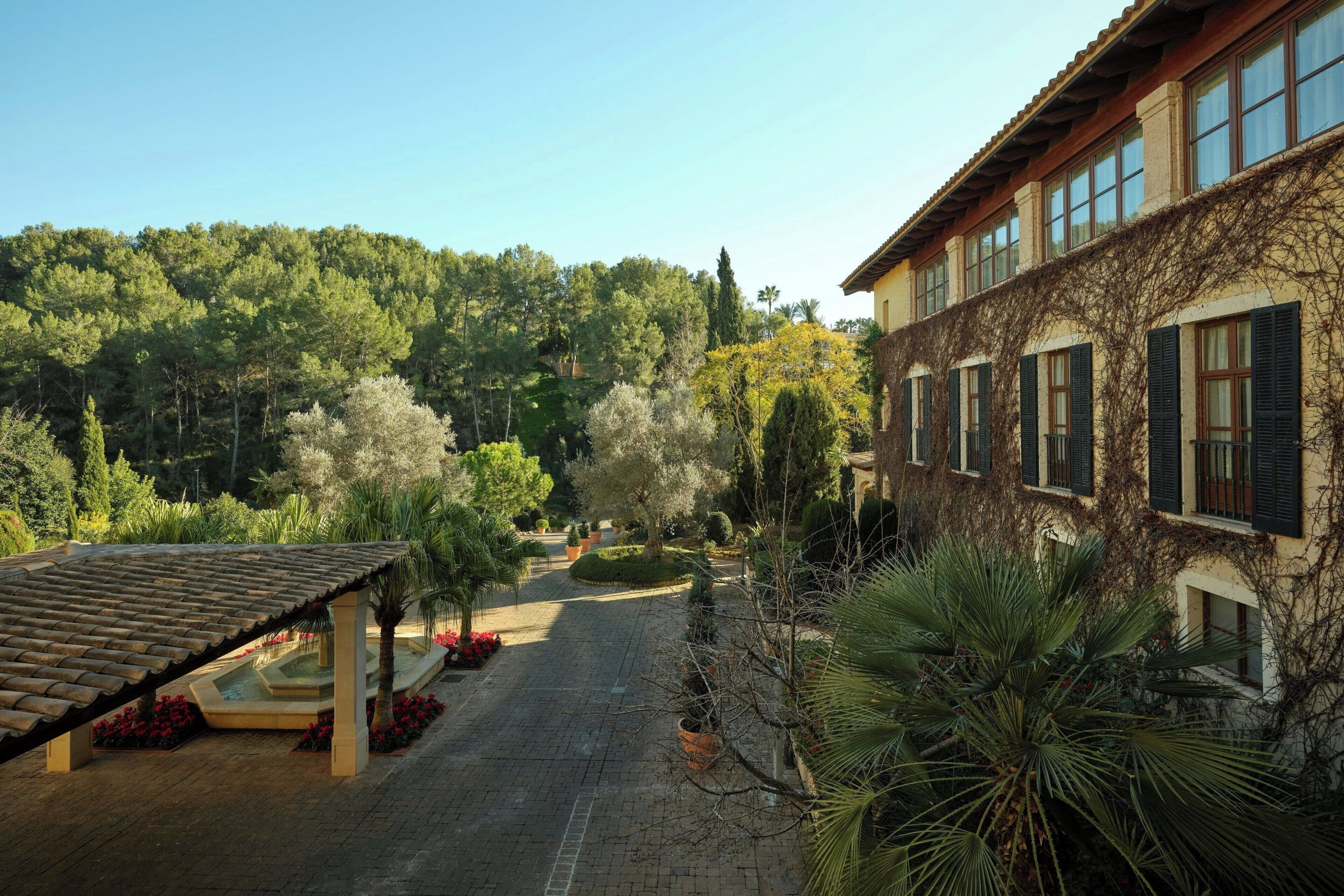 Un patio con techo de tejas, un sendero y un edificio con ventanas cubiertas de hiedra.
