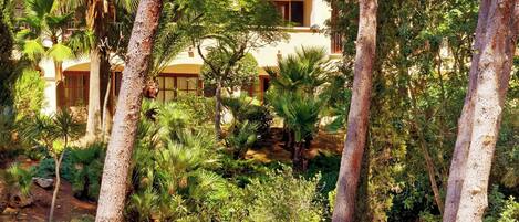 A resort with a stone pathway leading to a building with a tiled roof, surrounded by lush greenery and palm trees.