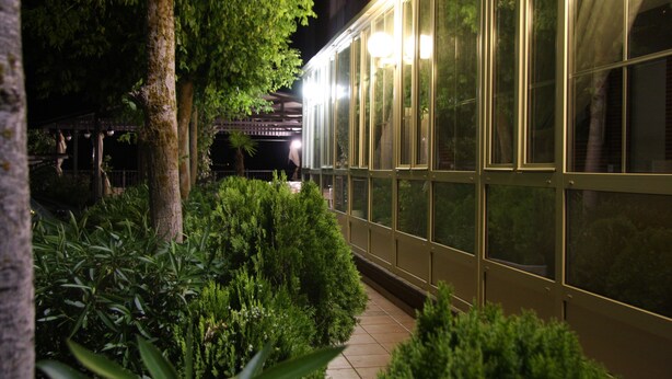 Un sendero bordeado por abundante vegetación y un edificio con grandes ventanales.